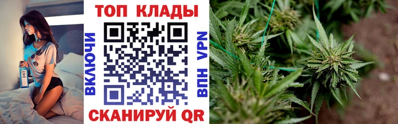Где купить наркотики Венёв АМФЕТАМИН Альфа ПВП ОМГ ОМГ зеркало Гашиш Меф мяу мяу