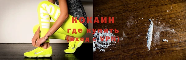 прущие грибы Балабаново