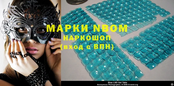 прущие грибы Балабаново