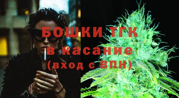 прущие грибы Балабаново