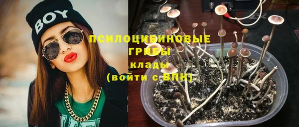 прущие грибы Балабаново