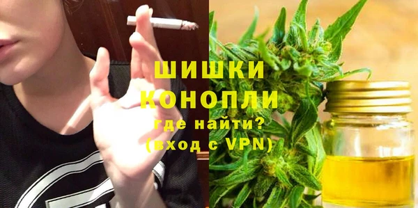 прущие грибы Балабаново